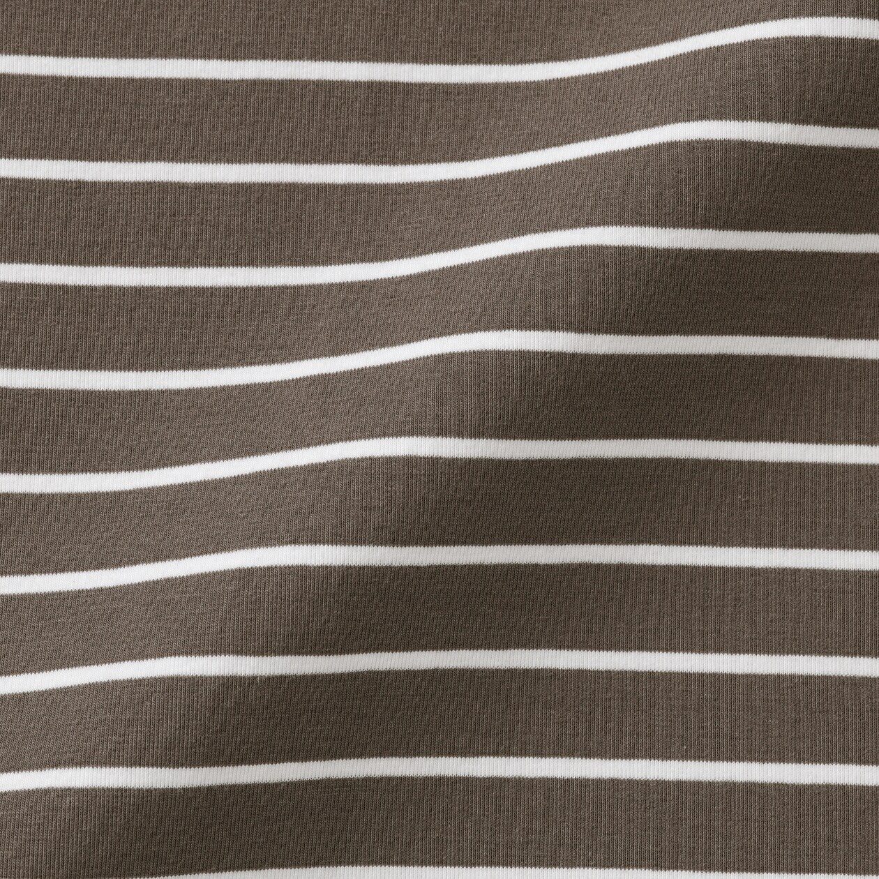 婦人　起毛フライス編みハイネック長袖Ｔシャツ