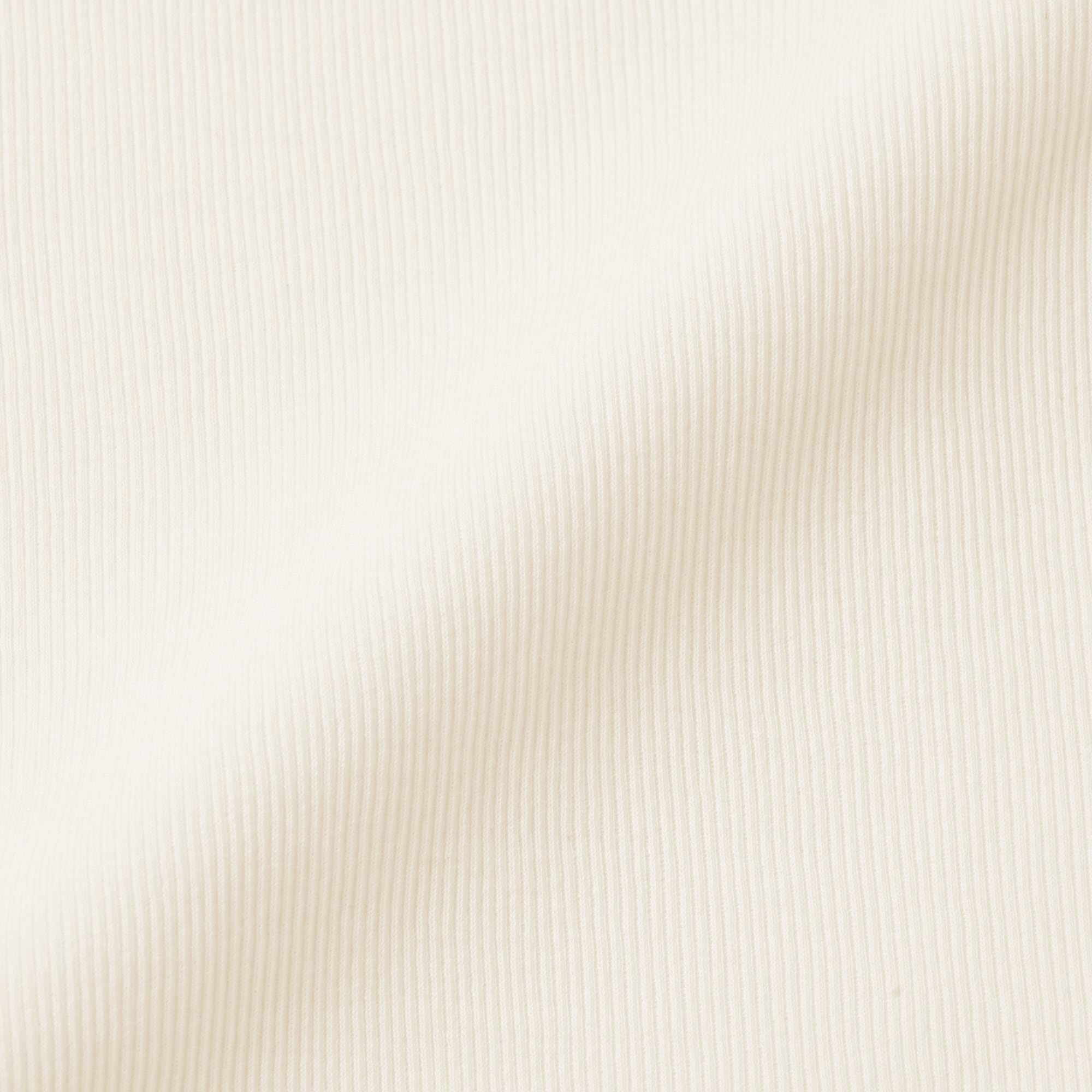 婦人　コットンカシミヤリブクルーネックＴシャツ