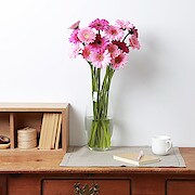 ガラスフラワーベース バルーン型 ｍサイズ ｍ フラワーベース 鉢 花瓶 通販 無印良品