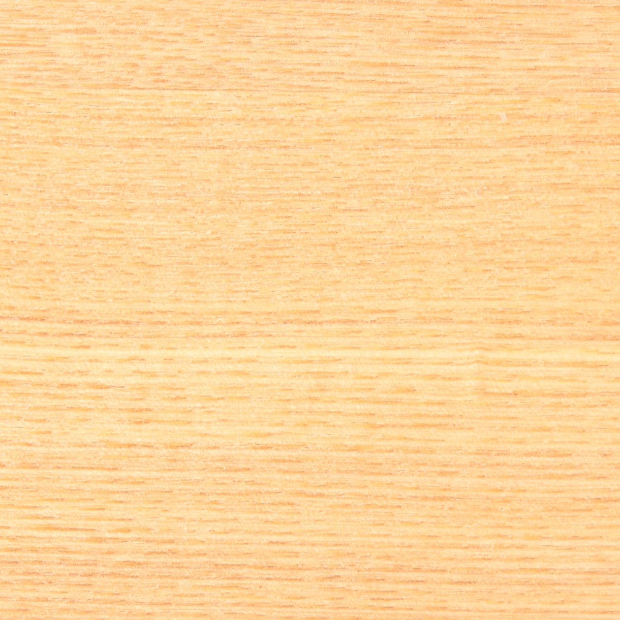 楕円こたつ・本体・タモ材曲木脚・フラットヒーター