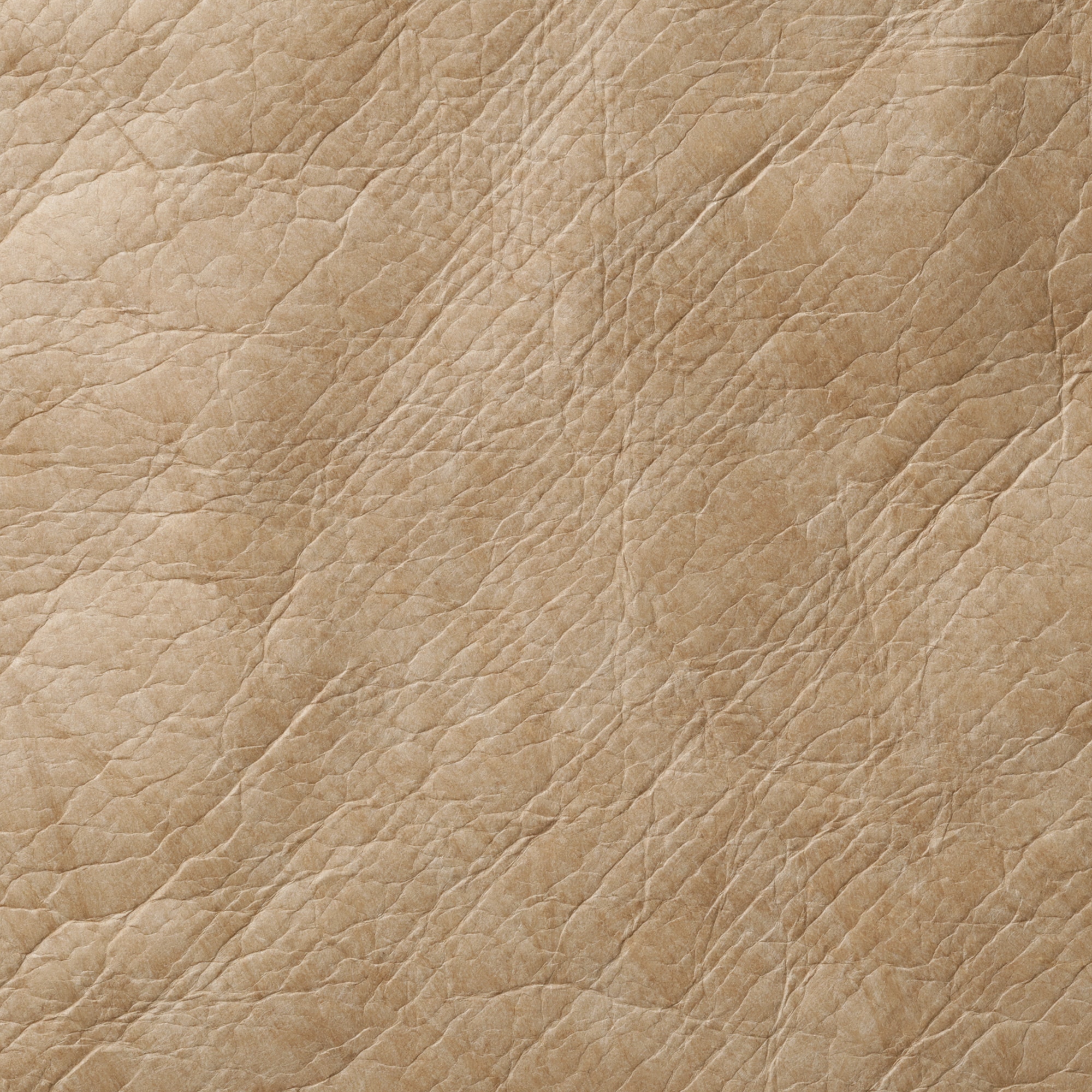 ペーパーライクトートバッグ