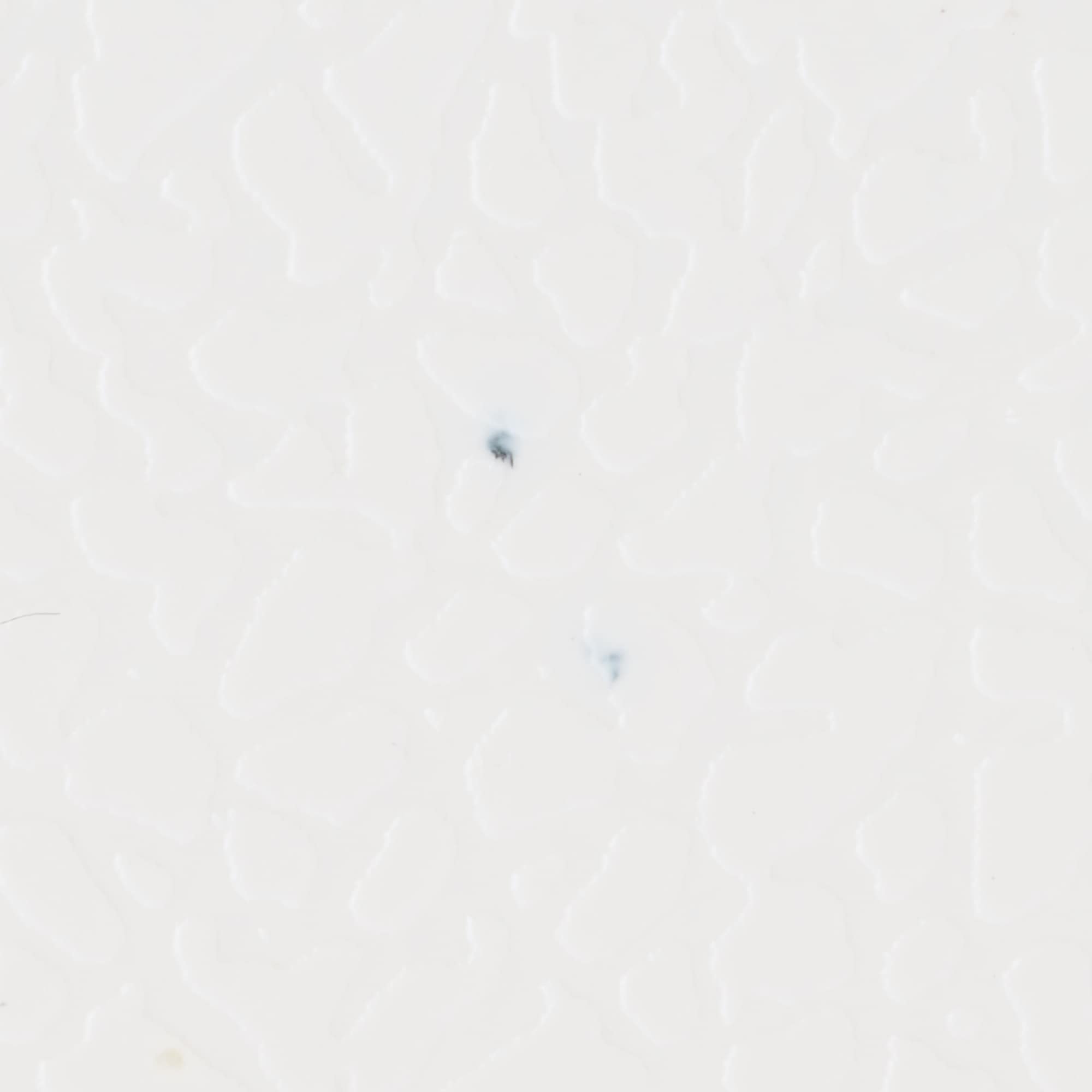 【宅送】再生ポリプロピレン入り　頑丈収納ボックス　特大