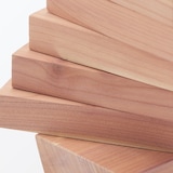 形が変えられるレッドシダーツリー　小