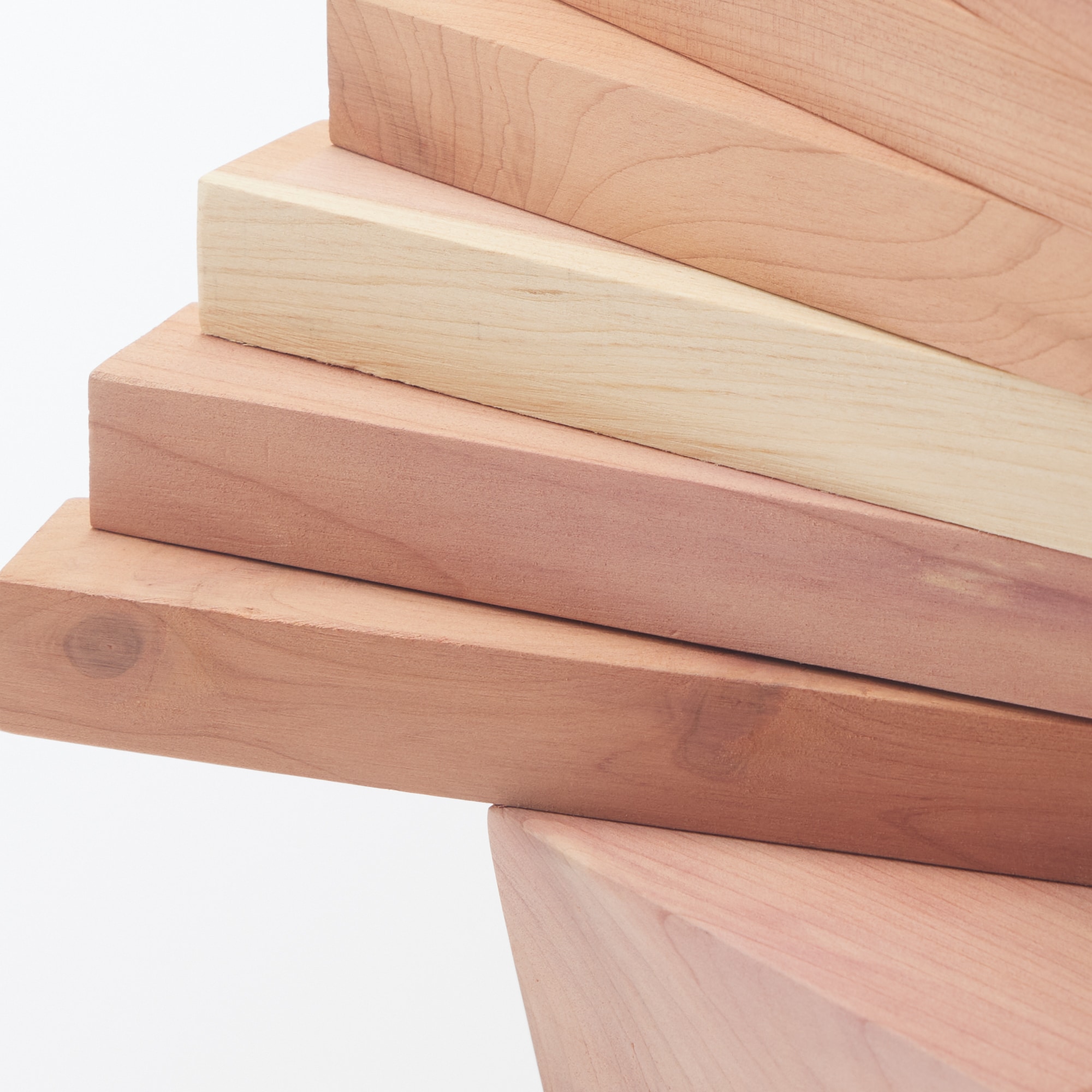 形が変えられるレッドシダーツリー　大