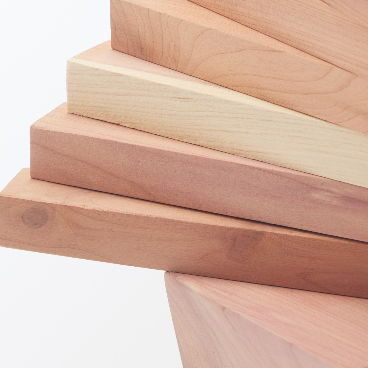 形が変えられるレッドシダーツリー　大