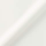 婦人　胸のボリュームをおさえるブラタンクトップ