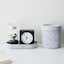 ［ＩＤＥＥ］　Ｓａｚａ　Ｂｏｘ　Ｓ