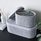 ［ＩＤＥＥ］　Ｓａｚａ　Ｂｏｘ　Ｌ