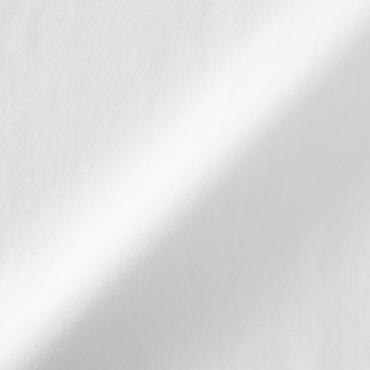 婦人　天竺編みクルーネック長袖Ｔシャツ