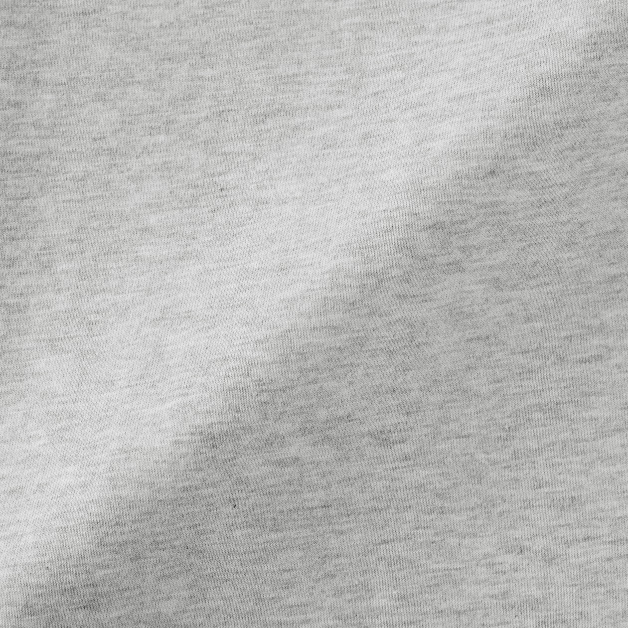 婦人　天竺編みクルーネック長袖Ｔシャツ