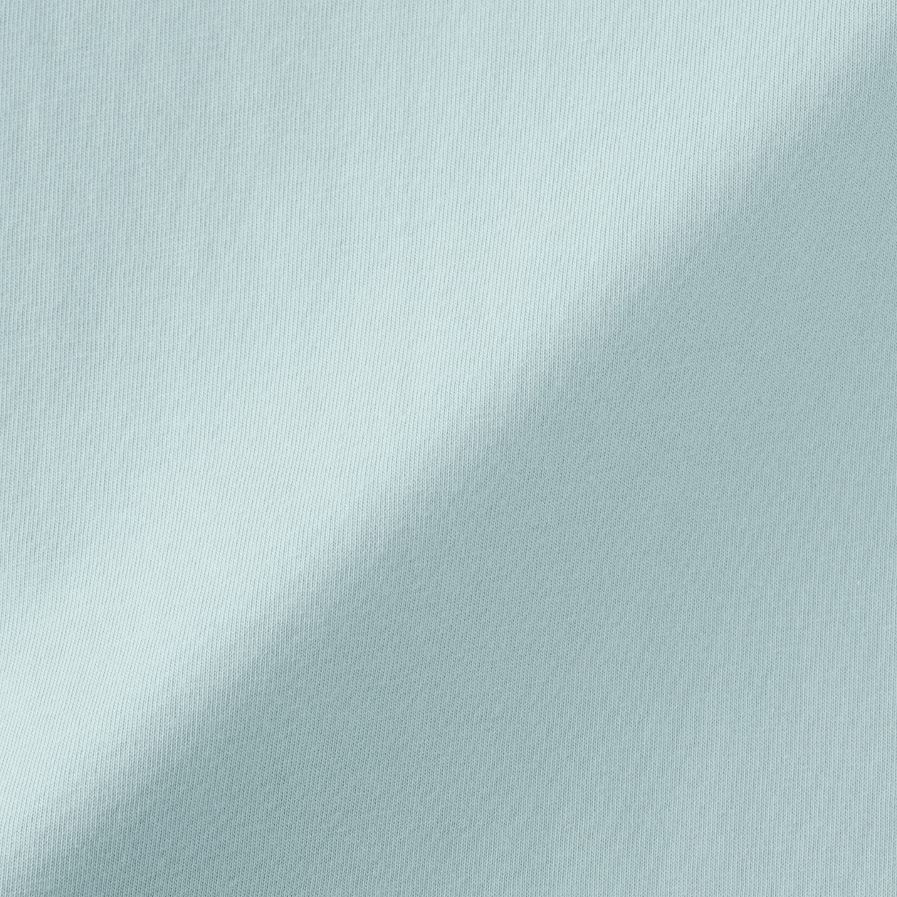 婦人　天竺編みクルーネック長袖Ｔシャツ