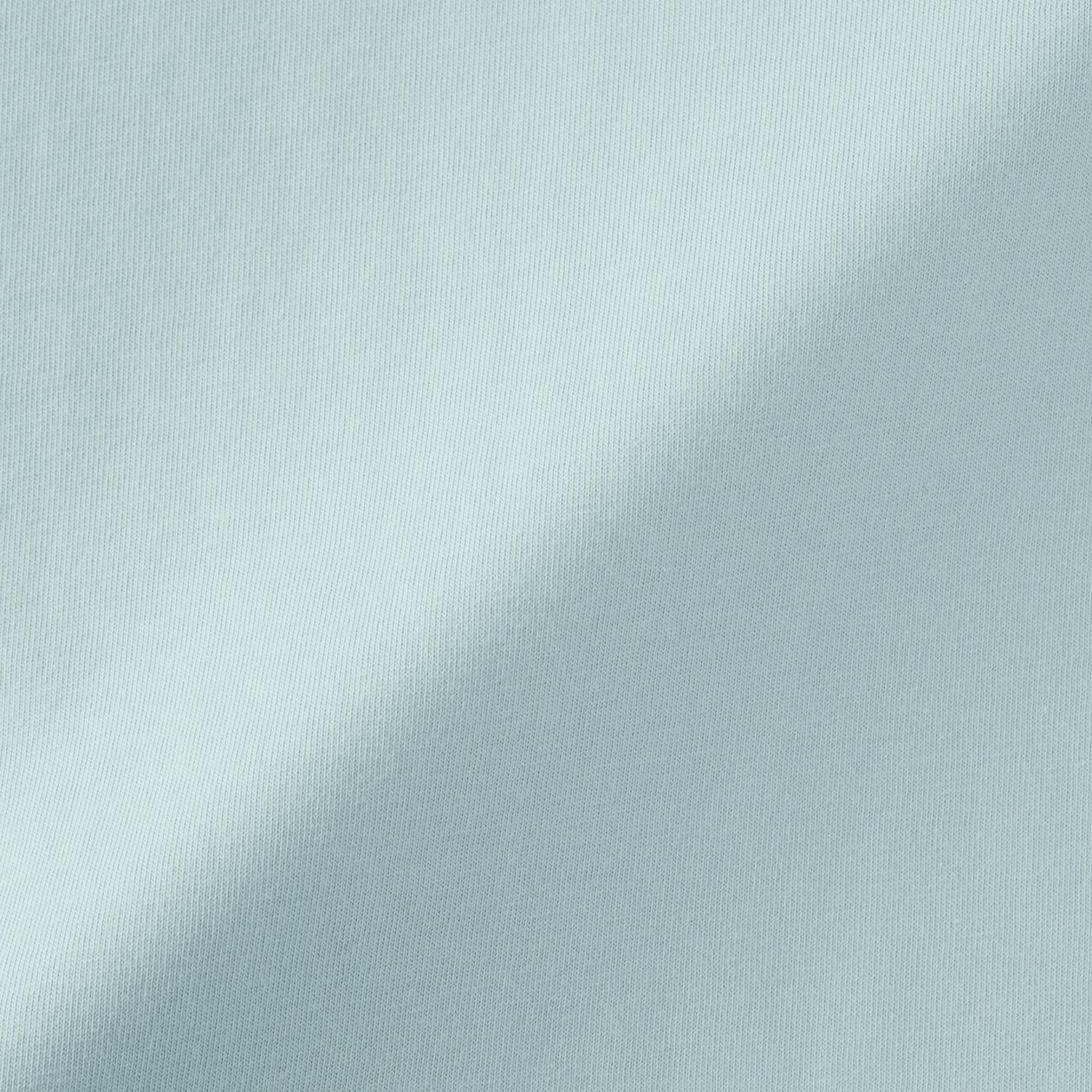 婦人　天竺編みクルーネック長袖Ｔシャツ