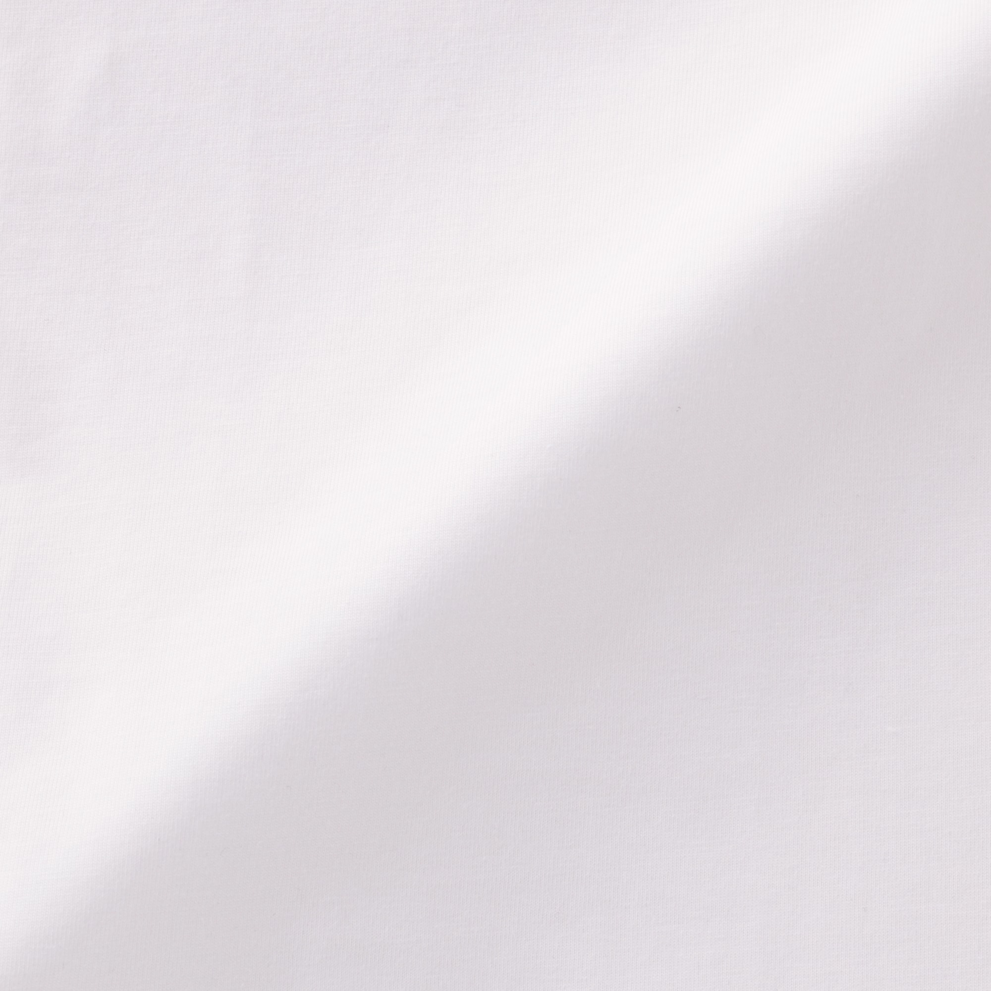 婦人　天竺編みクルーネック半袖Ｔシャツ