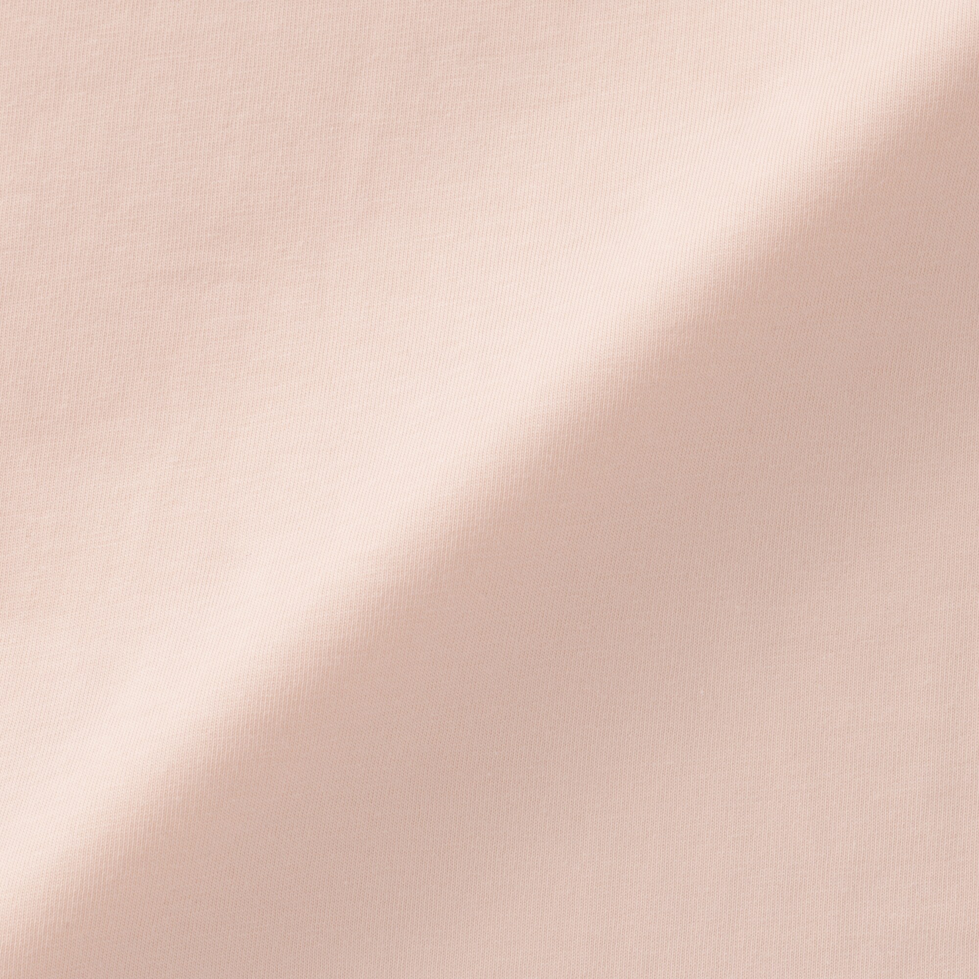 婦人　天竺編みクルーネック半袖Ｔシャツ