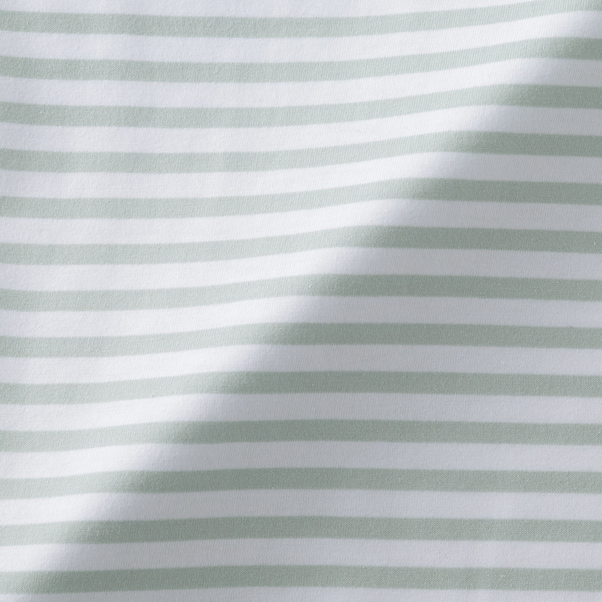 婦人　天竺編みクルーネック半袖Ｔシャツ