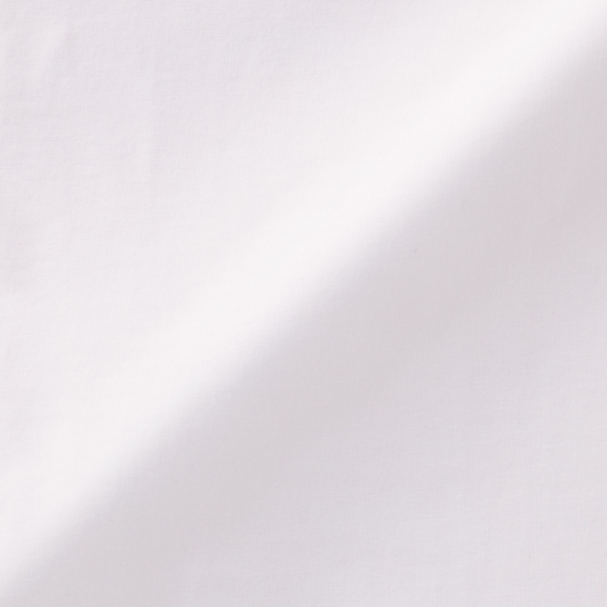 婦人　天竺編みクルーネック半袖Ｔシャツ