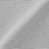 婦人　天竺編みクルーネック半袖Ｔシャツ