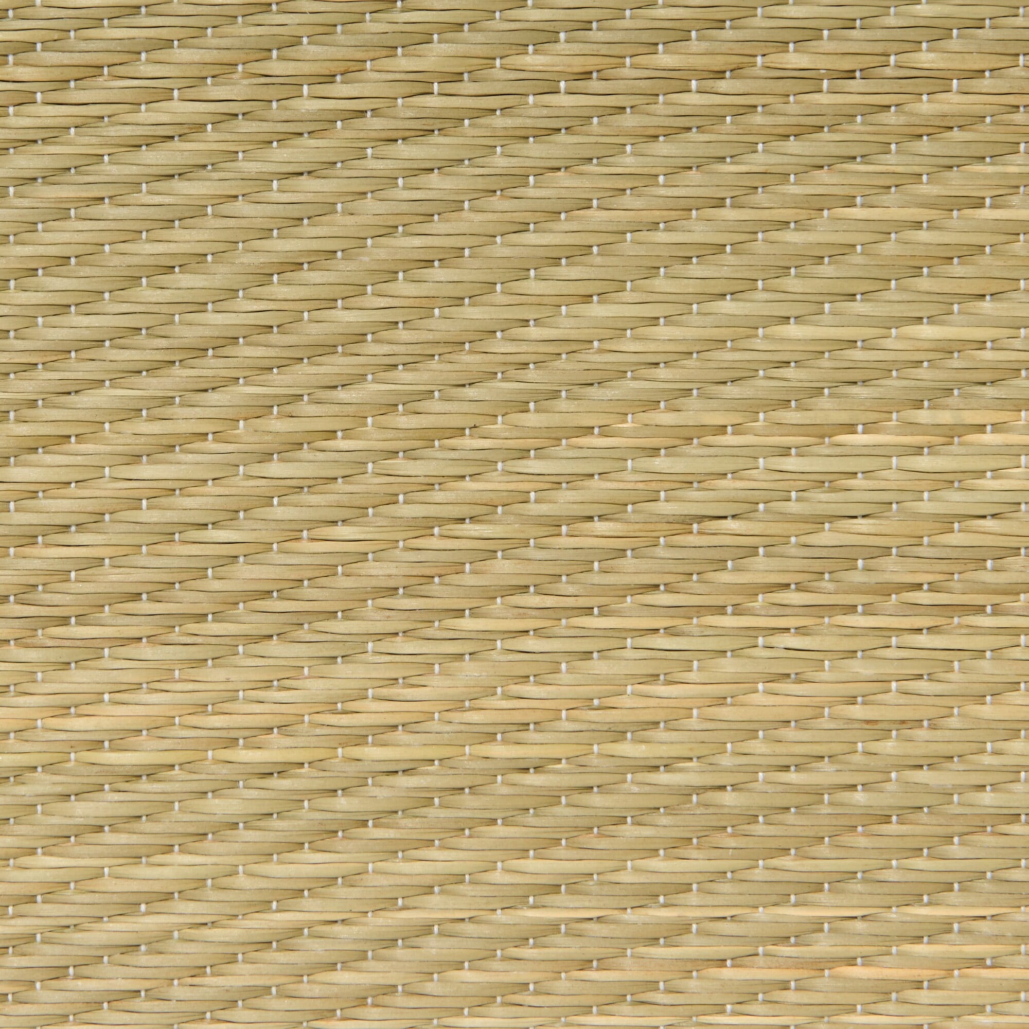 イ草　ごろ寝マット