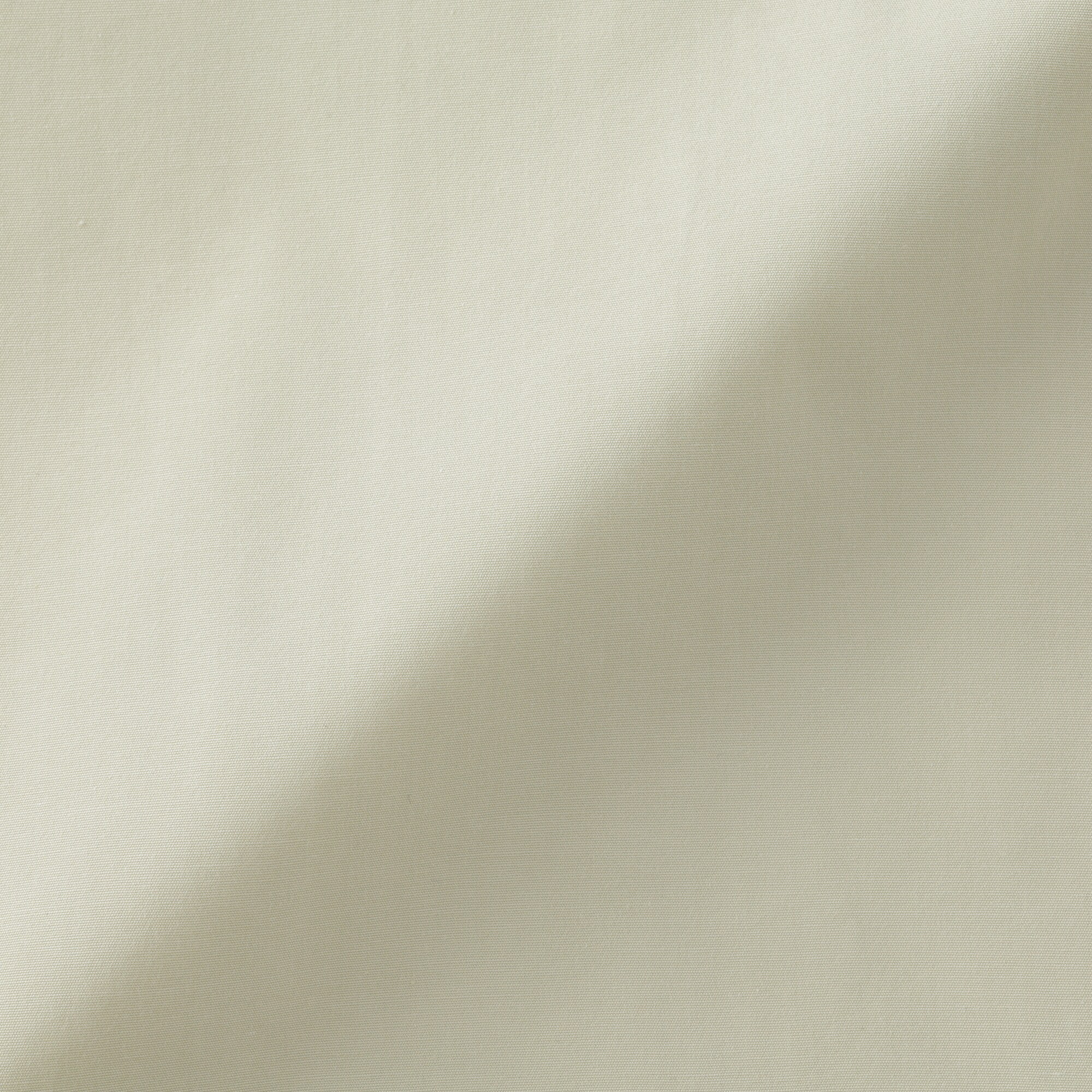 婦人　ポプリン半袖シャツ