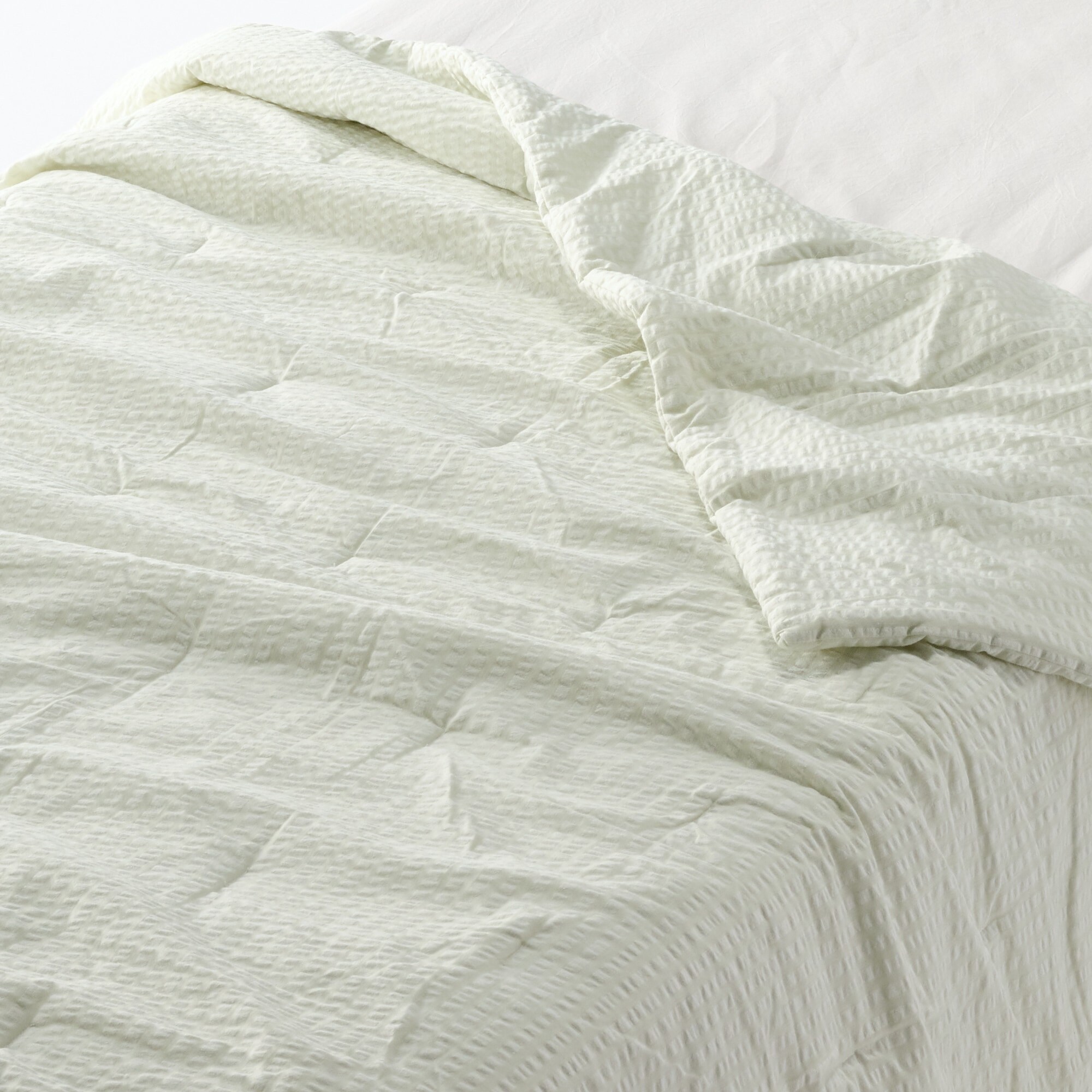 綿　サッカー織　薄掛ふとん／Ｄ