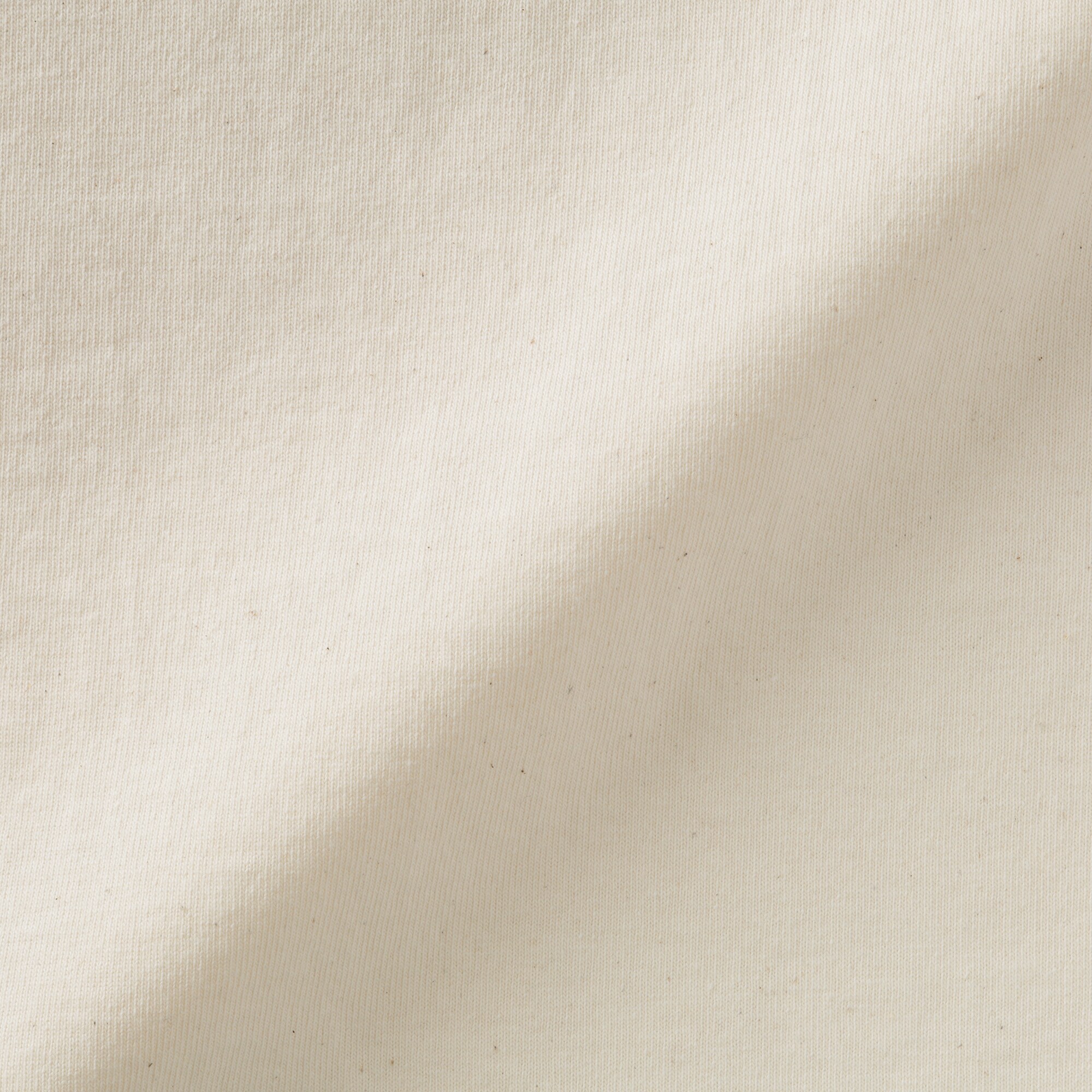 紳士　洗いざらし太番手クルーネック半袖Ｔシャツ