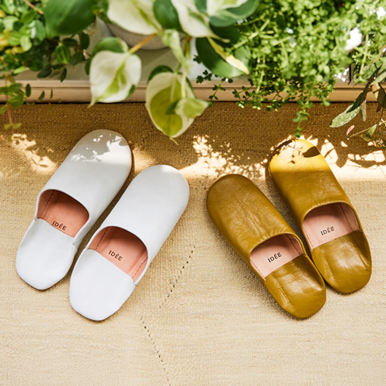 ［ＩＤＥＥ］ＩＤＥＥバブーシュＬ　ＭＵＳＴＡＲＤ