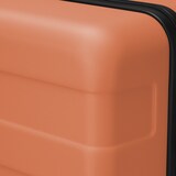 バーを自由に調節できる　ハードキャリーケース（７５Ｌ）