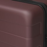 バーを自由に調節できる　ハードキャリーケース（７５Ｌ）