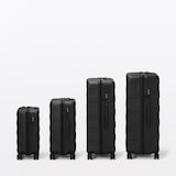 バーを自由に調節できる　ハードキャリーケース（７５Ｌ）