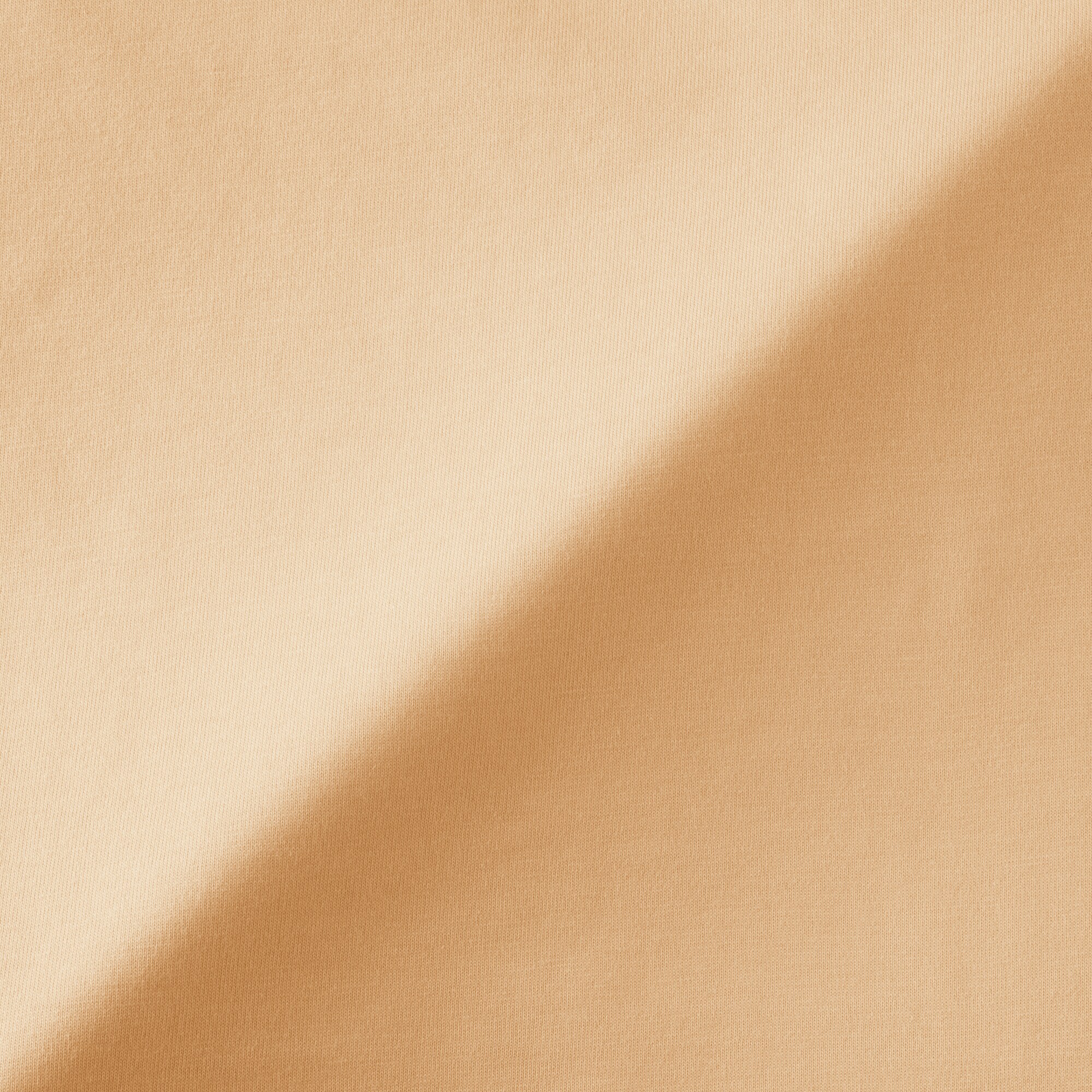 婦人　天竺編みボートネック七分袖Ｔシャツ