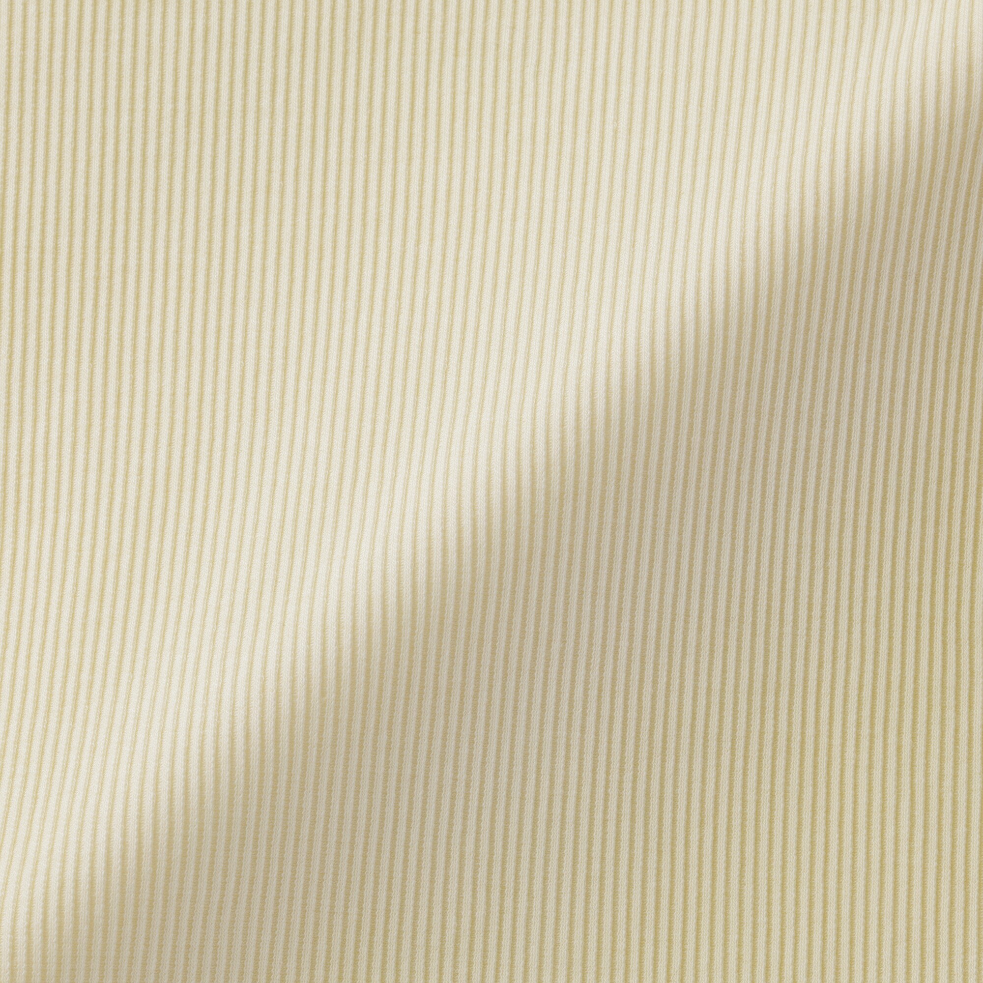 婦人　なめらかリブ編みクルーネック長袖Ｔシャツ