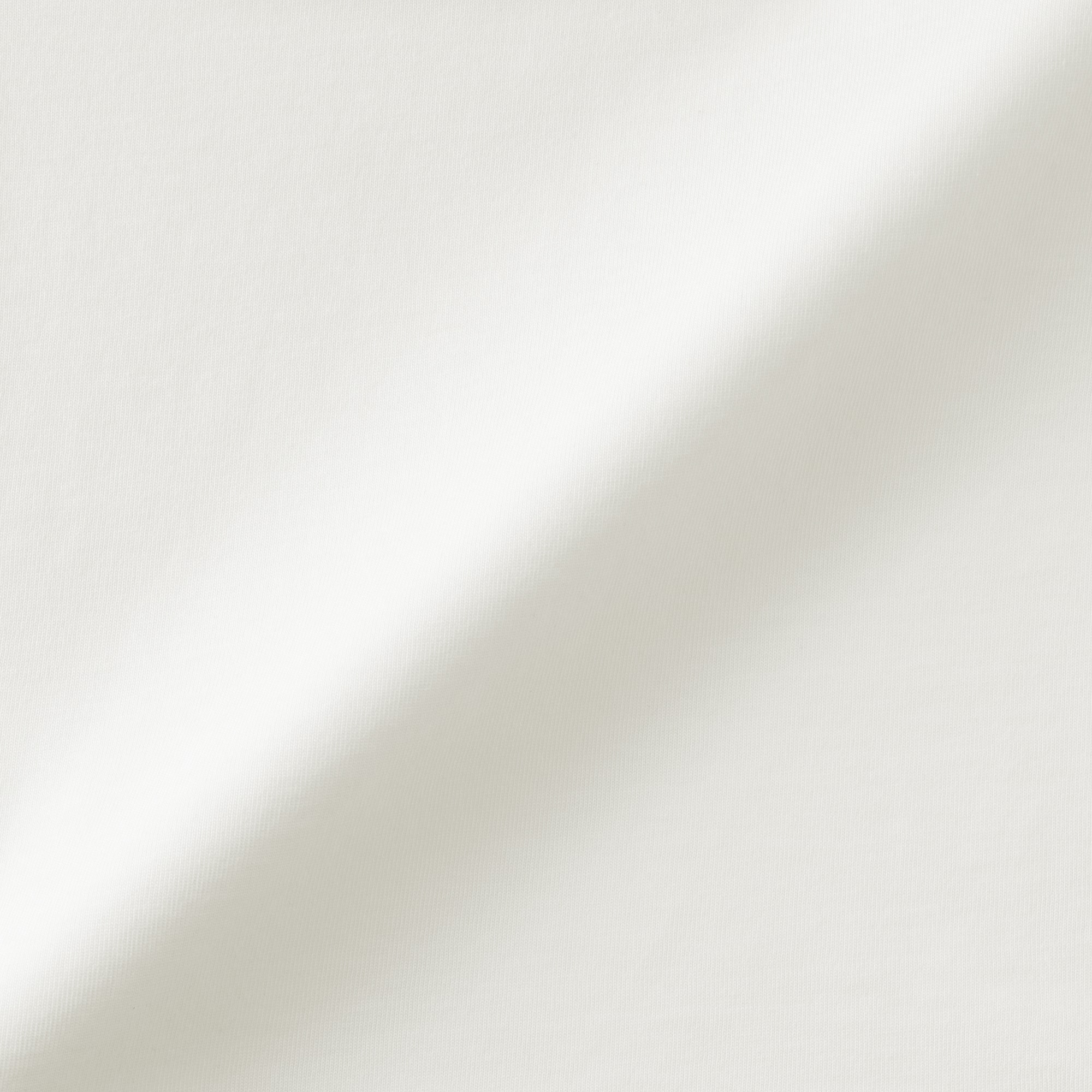 婦人　なめらか天竺編みクルーネック長袖プルオーバー