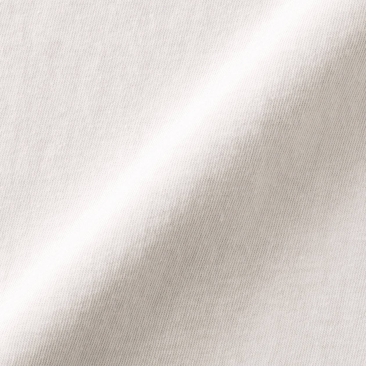 婦人　引き揃え天竺編み長袖ラガーシャツ