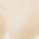 婦人　ひびきにくいレース　ハーフトップブラジャー