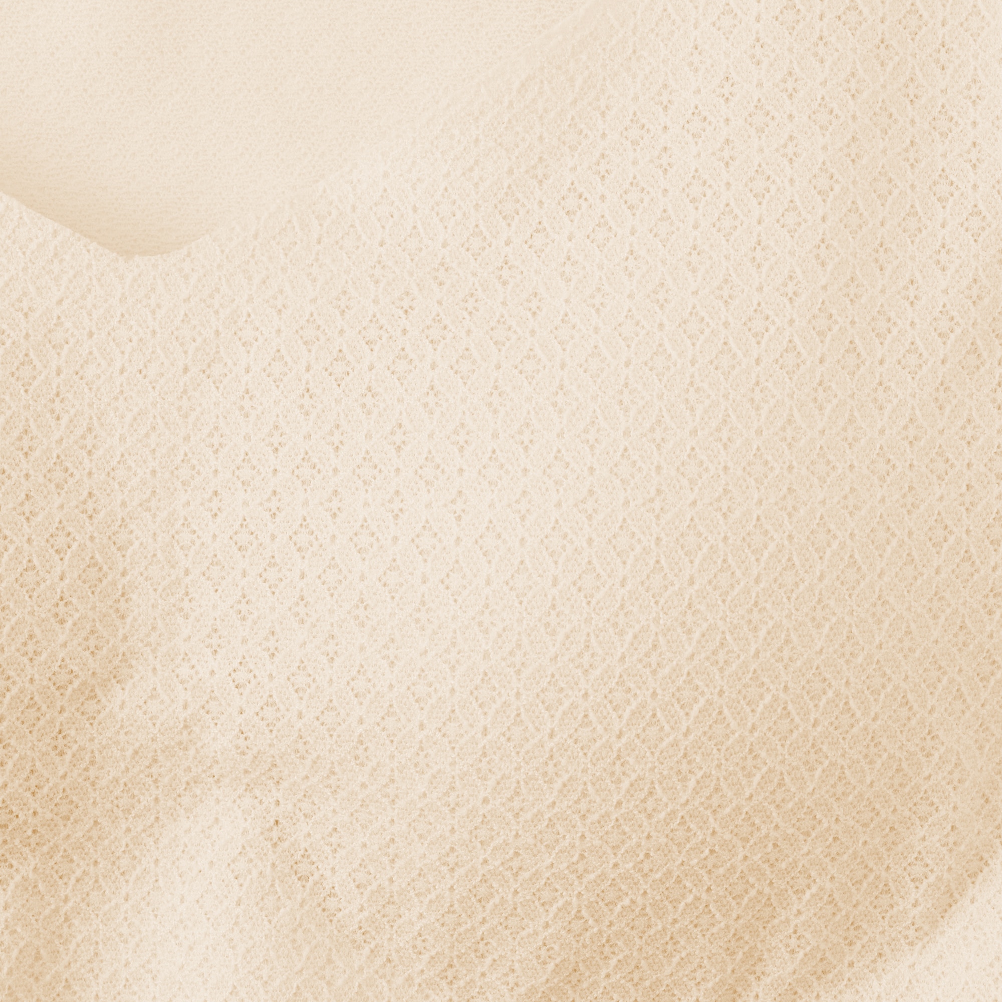 婦人　ひびきにくいレース　ハーフトップブラジャー