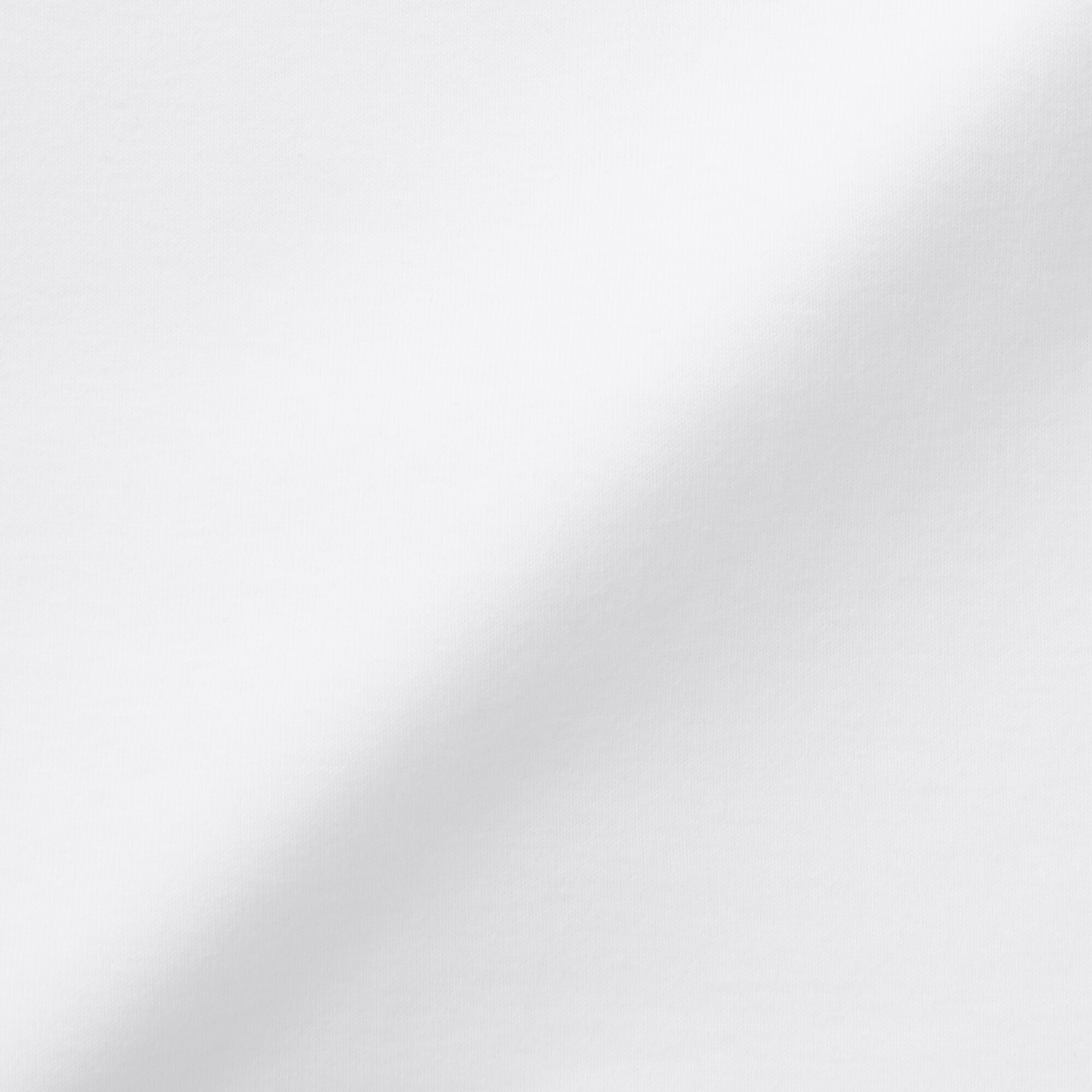 婦人　フライス編みクルーネック長袖Ｔシャツ