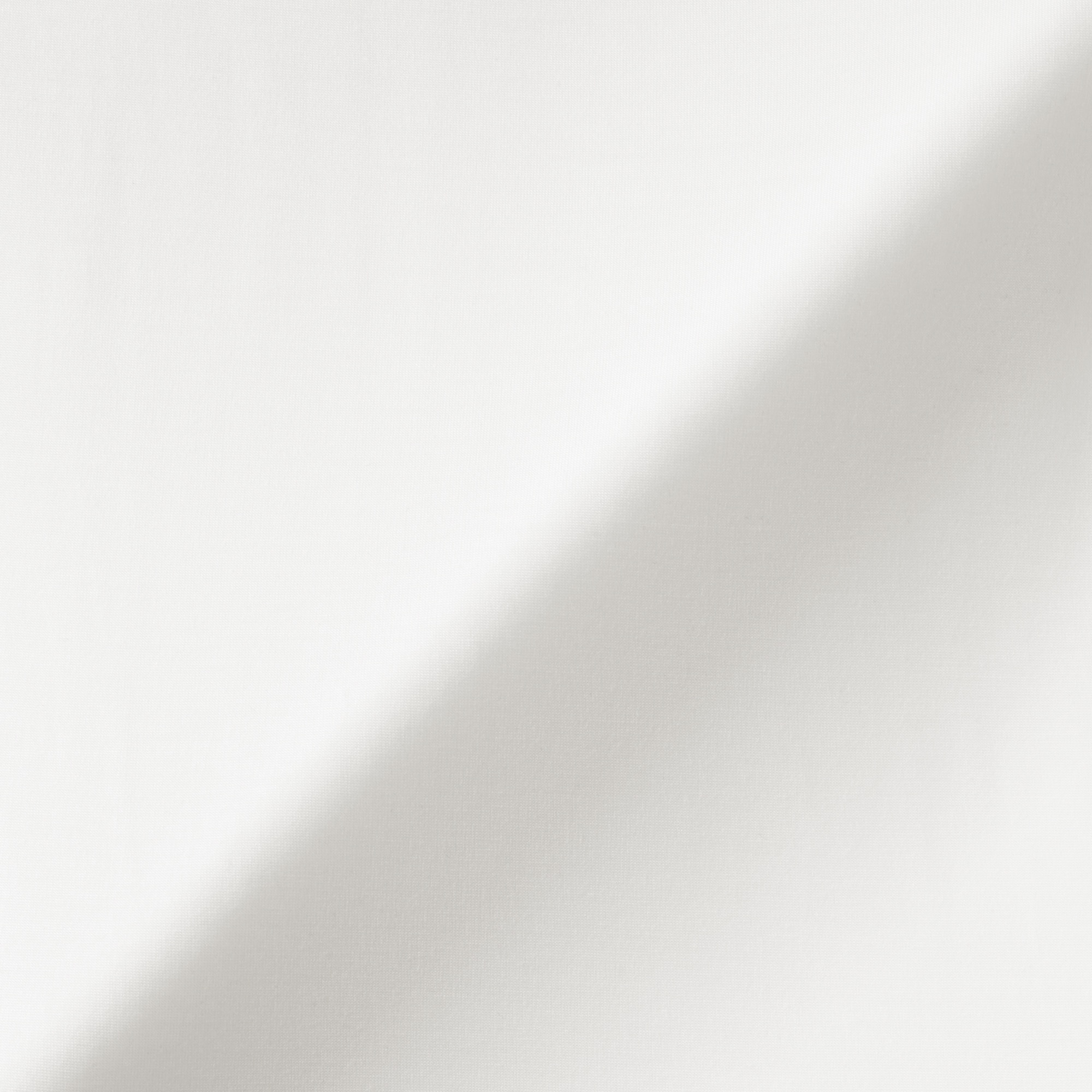 婦人　なめらかブラフレンチスリーブ