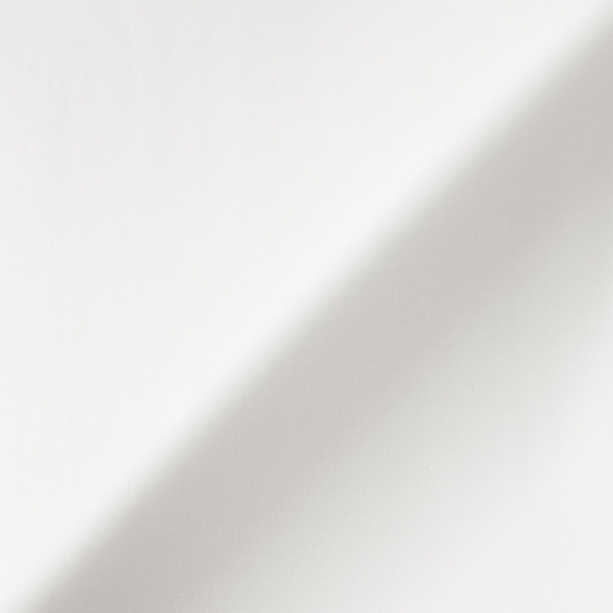 婦人　なめらかブラフレンチスリーブ