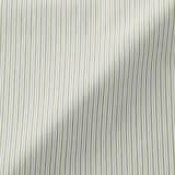 婦人　洗いざらし　ブロードレギュラーカラー長袖シャツ