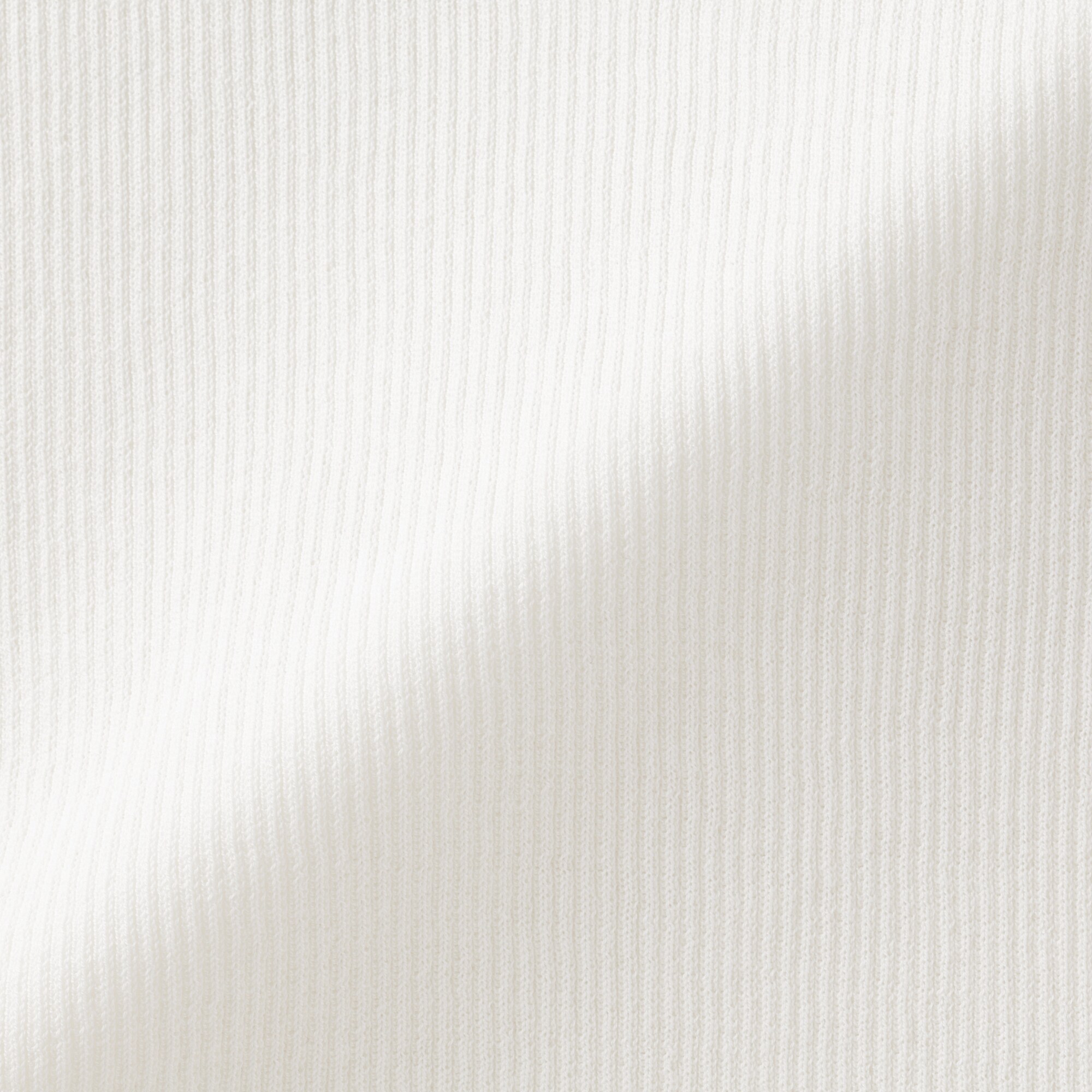 婦人　強撚コットンニット半袖Ｔシャツ