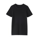 婦人　強撚コットンニット半袖Ｔシャツ