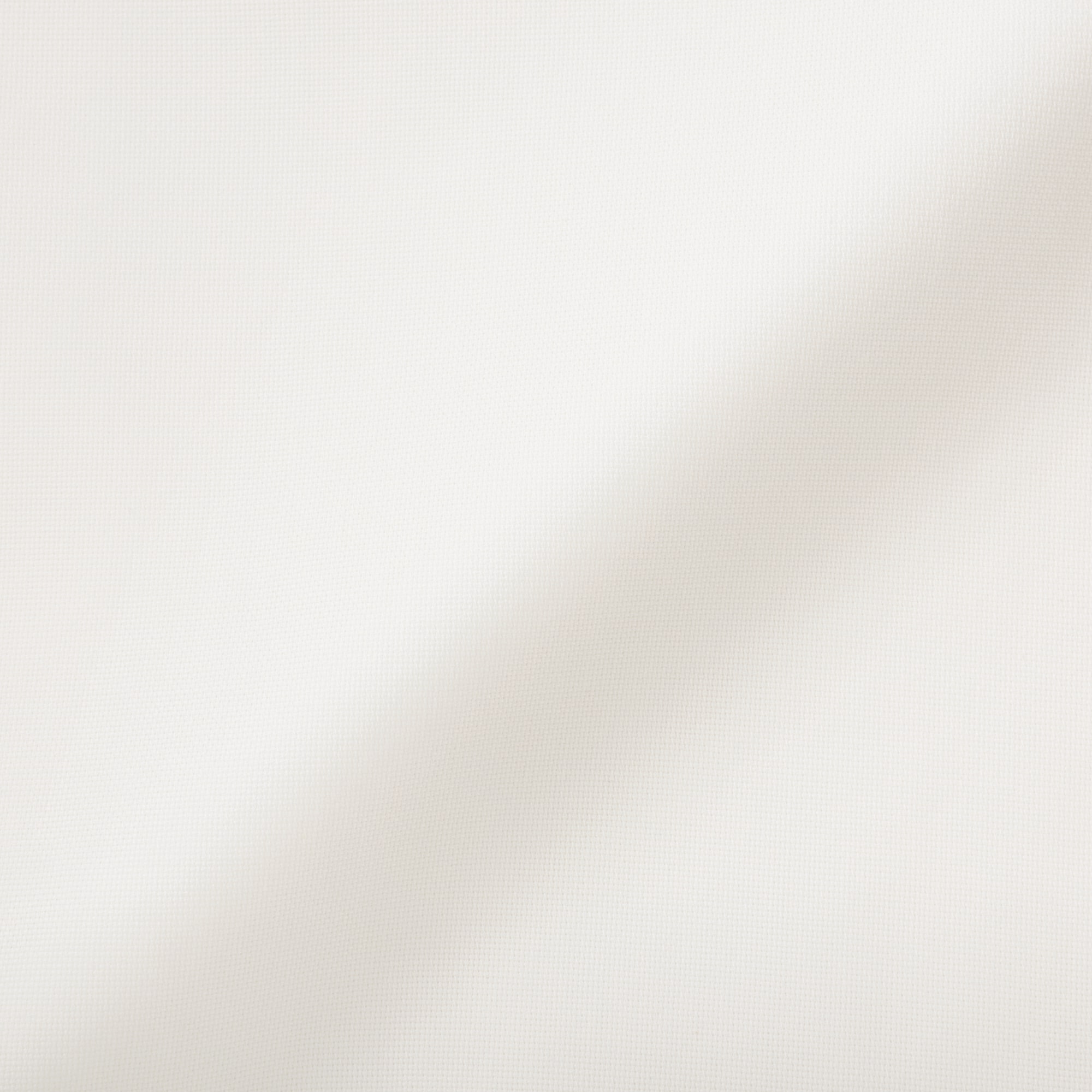 婦人　和紙混バスケット織り　半袖ブラウス