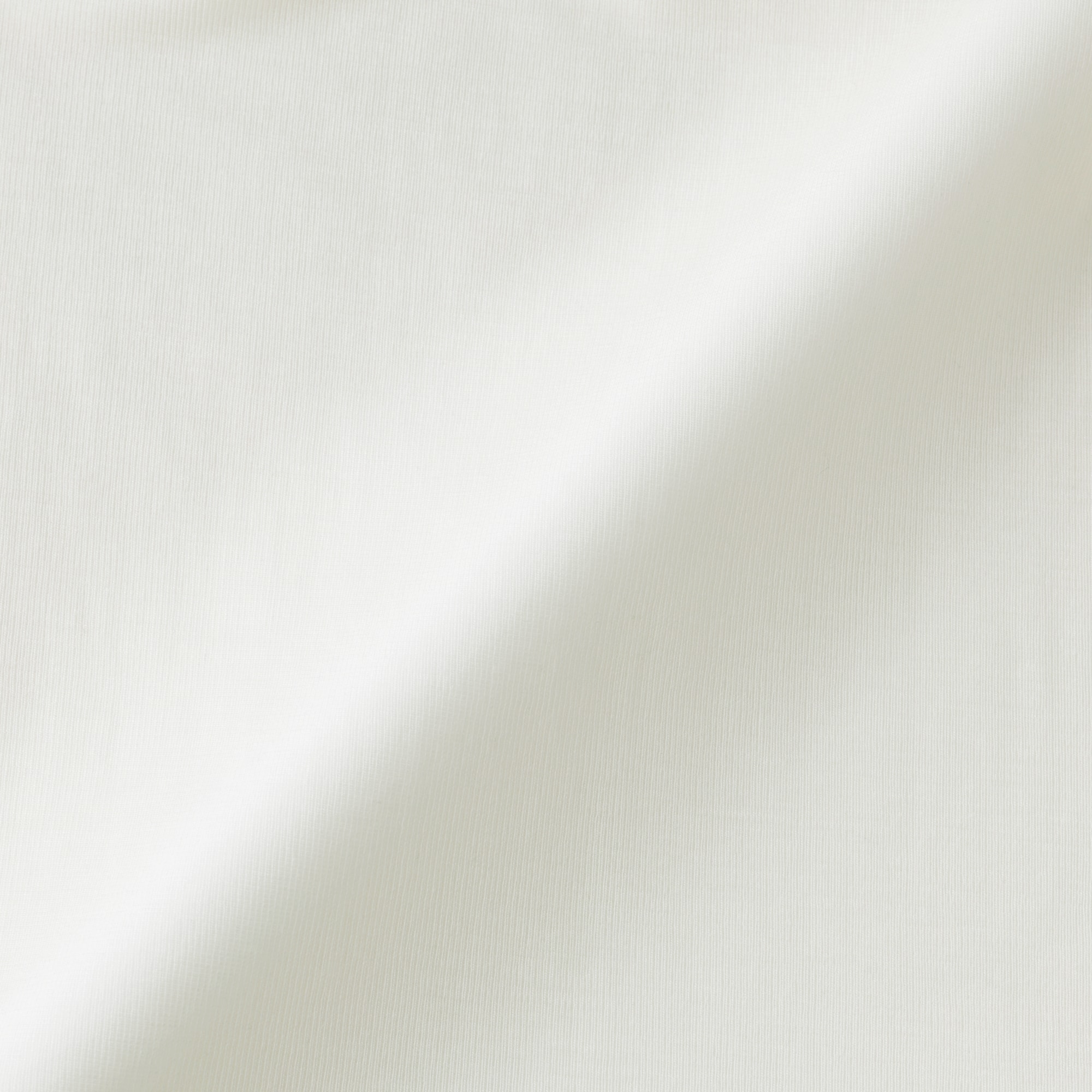 婦人　なめらかシアークルーネック長袖Ｔシャツ