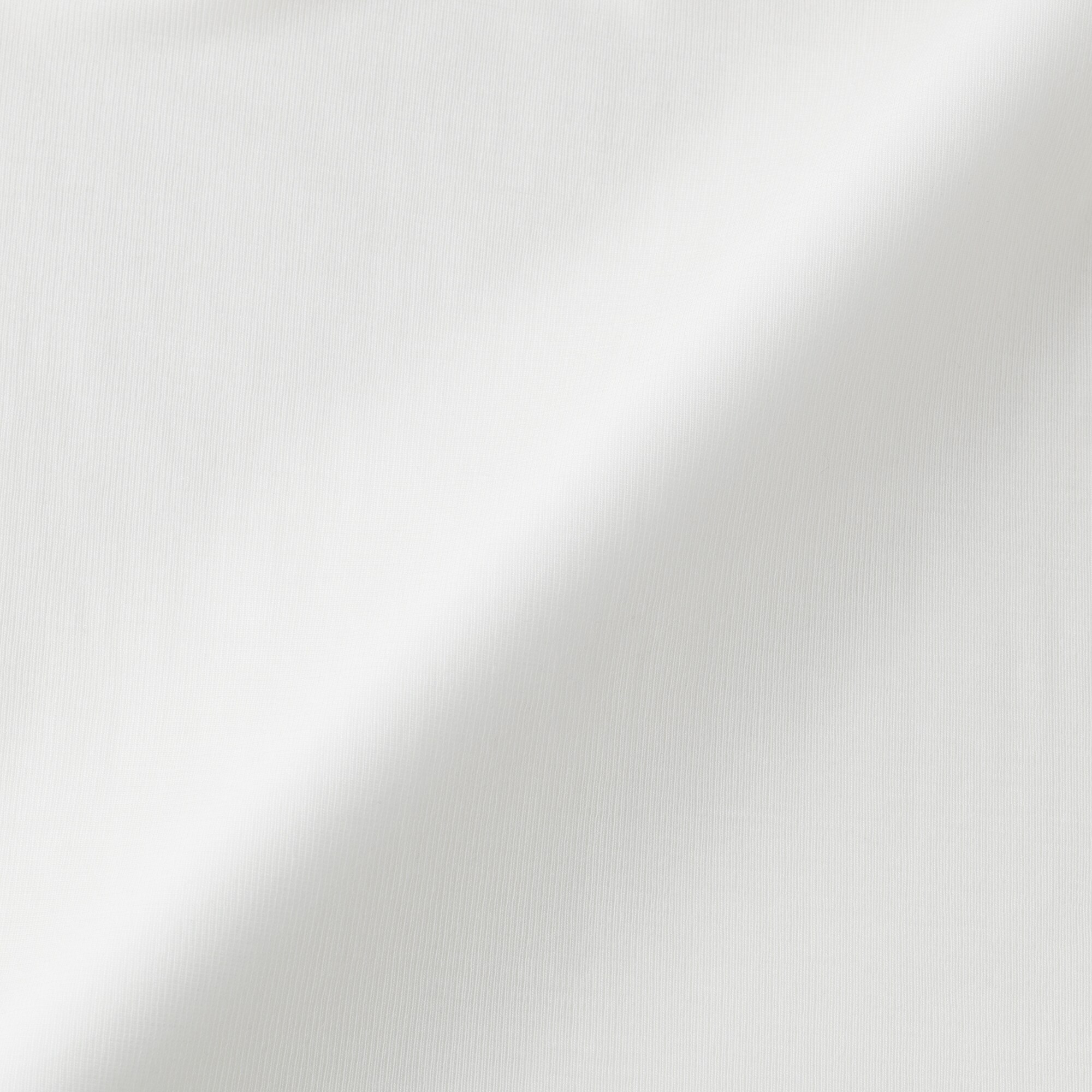 婦人　なめらかシアータートルネック長袖Ｔシャツ