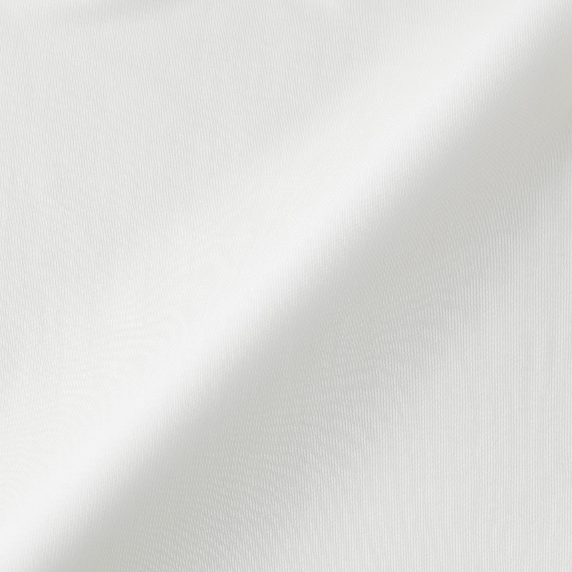 婦人　なめらかシアータートルネック長袖Ｔシャツ