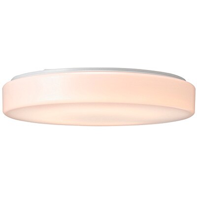 アクリルシーリングライト・６６Ｗ．