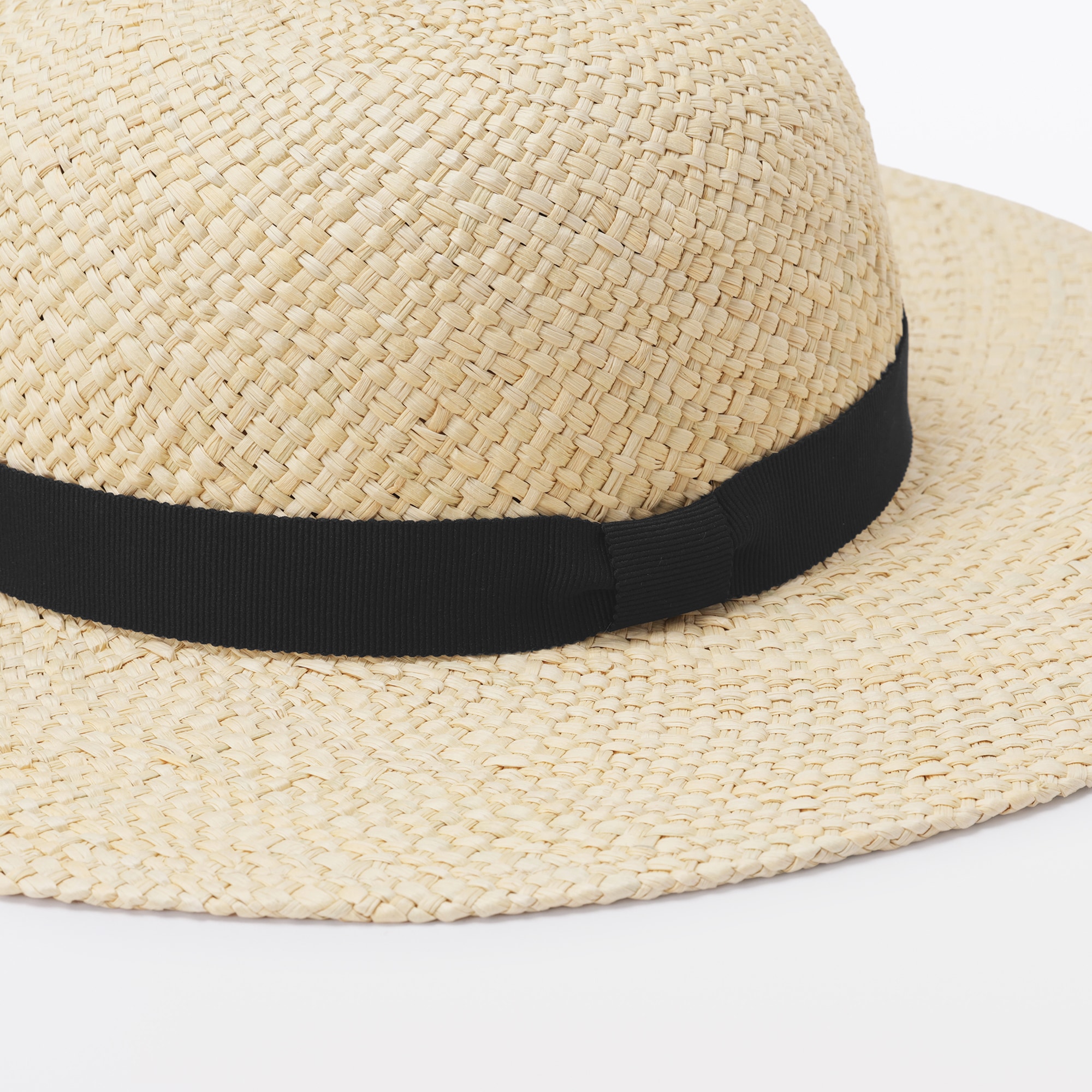 パナマキャペリン