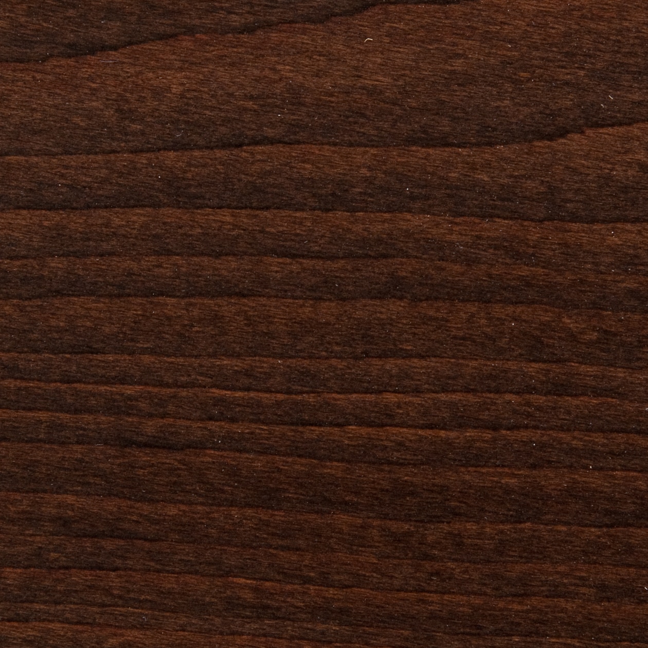 ブナ材テーブル・Ｌ／ブラウン