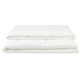 抗菌防臭ポリエステルわた洗える掛ふとん・ニ枚組／クィーン