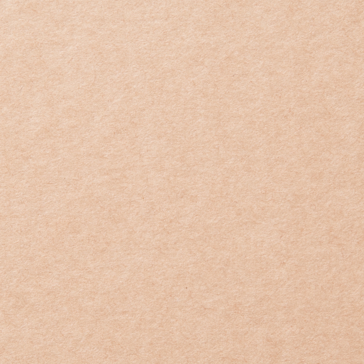 パルプボードボックス・スリム・２段／ベージュ